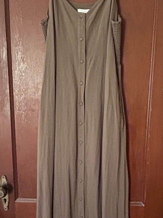 Z Supply Dresses & Skirts - Sleeveless Button-Front Maxi Dress in Brown